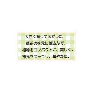 フェンス 屋外 花壇 アイアン トレリス 柵 ...の詳細画像3