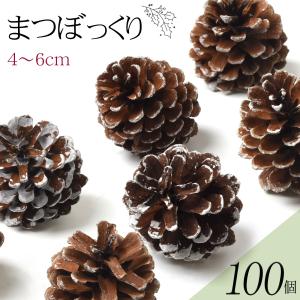 松ぼっくり/松かさ Mサイズ:約4〜6cm 50個 1セット 自然色 国産 天然