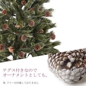 松ぼっくり 18個入 約4〜6cm 天然素材 ...の詳細画像1
