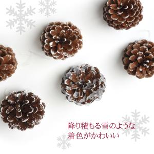 松ぼっくり 18個入 約4〜6cm 天然素材 ...の詳細画像2