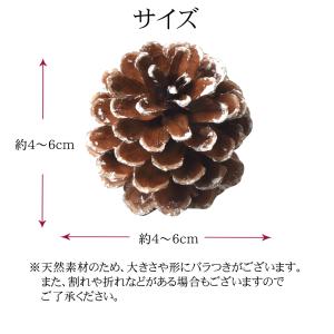 松ぼっくり 18個入 約4〜6cm 天然素材 ...の詳細画像3