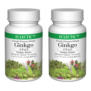 イチョウ ギンコ 500mg 2個セットの高価買取価格