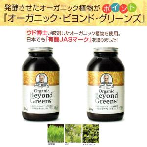 オーガニック・ビヨンド・グリーンズ 255g 2個セット フローラ・ハウス 健康補助食品 有機発酵植物・乳酸菌配合｜esupple-tokyo