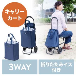 椅子付きキャリーカート トートバッグ 保冷バッグ 折りたたみ ネイビー 22L 475249 敬老の日 プレゼント｜esupply