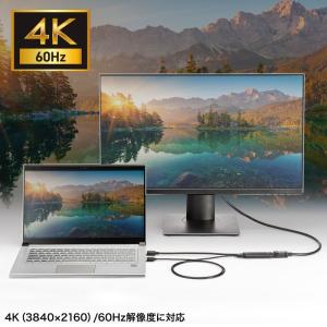 HDMI-DisplayPort変換アダプタ ...の詳細画像5