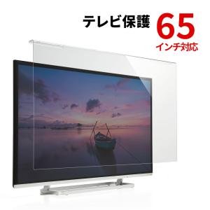 液晶テレビ保護パネル 65インチ テレビフィルター 吊り下げ式 キズ汚れ防止 CRT-650WHG サンワサプライ｜esupply