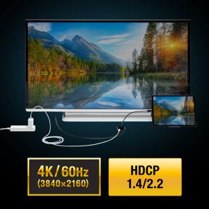 訳あり新品 USB Type C-HDMI変換...の詳細画像3