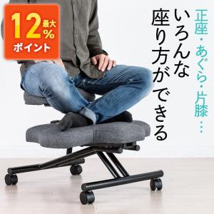 SANWA SUPPLY（サンワサプライ） バランスチェア バランスチェアー