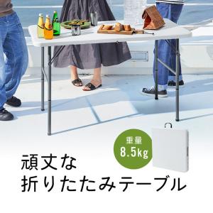 アウトドア 折りたたみテーブル 軽量 収納 4人用 コンパクト 室内 レジャー キャンプ 白 EEX-DKFD01
