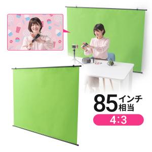 クロマキー グリーンバック スクリーン 壁 天井