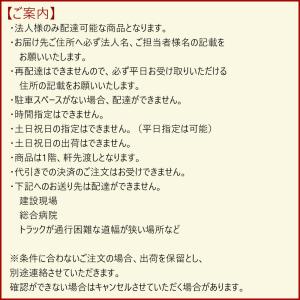 プロジェクタースクリーン 自立式 100インチ...の詳細画像1