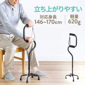 I WALK Free 立ち上がり補助具 イーサプライ（e-supply） 在庫限り 立ち上がり補助手すり 補助器具