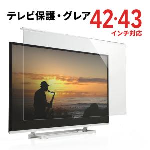 テレビ保護パネル 42インチ43インチ対応 液晶テレビ TV カバー 保護 アクリル製 破損防止 傷防止 汚れ防止 ペット 子供 EZ2-CRT014｜esupply