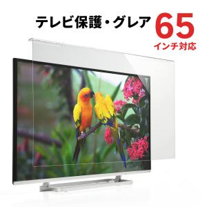 テレビ保護パネル 65インチ対応 液晶テレビ TV カバー 保護 頑丈 アクリル製 破損防止 傷防止 汚れ防止 ペット 子供 EZ2-CRT024｜イーサプライ ヤフー店