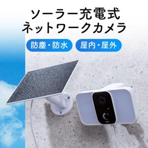 DAISHIN 大進 LEDセンサーライト付き ワイヤレス 防犯カメラ DLA-RD300