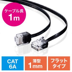 LANケーブル カテゴリ6A より線 ストレート フラット ブラック 1m EZ5-LAN6AFL-01 ネコポス対応｜esupply