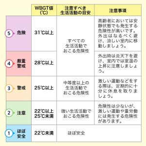 温湿度計 インフルエンザ予防 インフルエンザ対...の詳細画像4