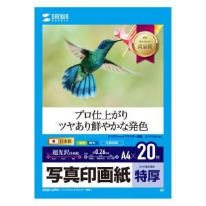 インクジェット写真印画紙 特厚 A4 20枚入り JP-EP2NA4N サンワサプライ｜esupply