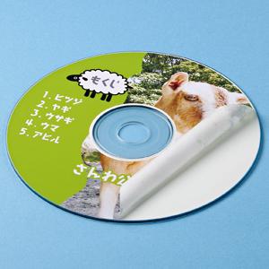 CDラベル DVDラベル インクジェットプリンタ用 内径41mm 100枚入 LB-CDR001N-...
