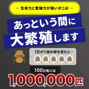 ダニ取りシート ダニ捕りラボ 公式 10枚入の詳細画像4