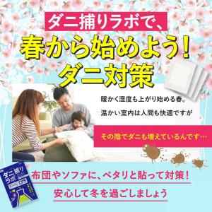 ダニ捕りシート 乾燥 2枚入り ダニ捕りラボ ...の詳細画像3