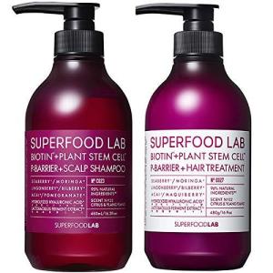 SUPERFOOD LAB BIOTIN + P-BARRIER SHAMPOO & TREATMENT