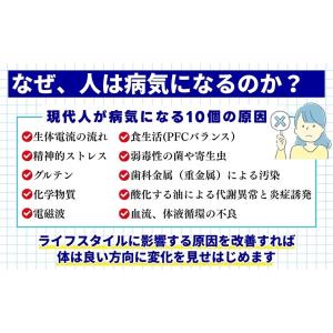 【書籍】体の不調は自分で治せる 〜ルネカントン...の詳細画像2