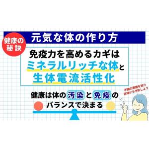 【書籍】体の不調は自分で治せる 〜ルネカントン...の詳細画像3