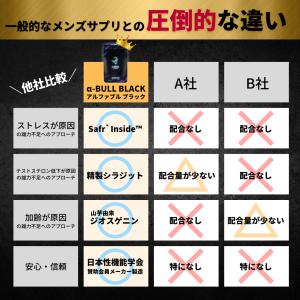 【公式】α-BULL BLACK(アルファブル...の詳細画像2