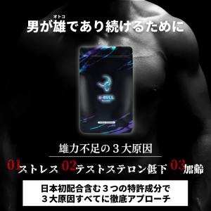 【公式】α-BULL BLACK(アルファブル...の詳細画像1