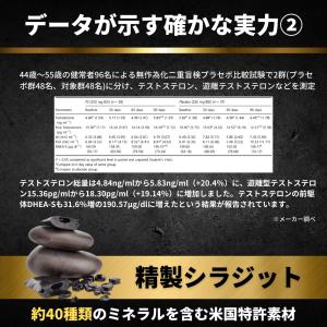 【公式】α-BULL BLACK(アルファブル...の詳細画像4