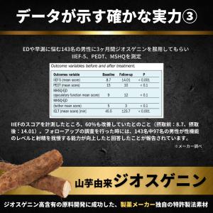 【公式】α-BULL BLACK(アルファブル...の詳細画像5