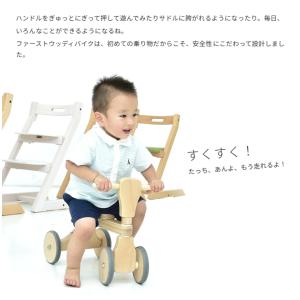 【在庫処分】【即納 / 名入れステッカー無料】...の詳細画像3