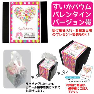すいかメロン2個セット 千葉県 お土産 お取り...の詳細画像4
