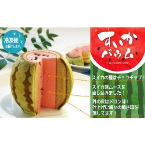 すいかメロン2個セット 千葉県 お土産 お取り...の詳細画像1