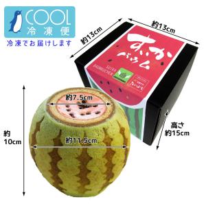 すいかメロン2個セット 千葉県 お土産 お取り...の詳細画像2