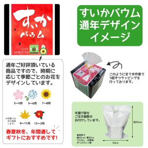 すいかメロン2個セット 千葉県 お土産 お取り...の詳細画像3