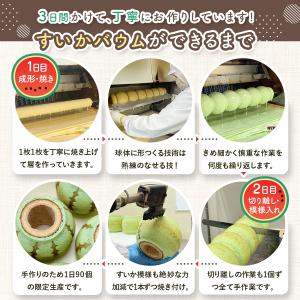 すいかバウム 千葉県 お土産 お取り寄せスイー...の詳細画像3