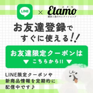 ポケット トートバッグ 横長 A4 帆布 プチ...の詳細画像5