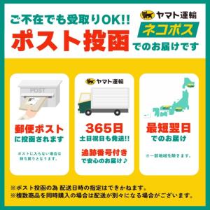 ぬい服 10cm 12cm 15cm カメラ ...の詳細画像5