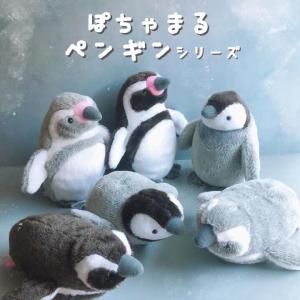 ぽちゃまる ぬいぐるみ ペンギン グッズ 水族館 お土産 雑貨 かわいい 海中散歩 小さめ マスコット