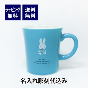 CAPTAIN STAG キャプテンスタッグ NEWパラオ ダブルステンレスマグ