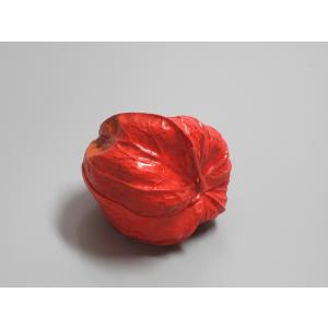 茶道具 香合 乾漆 兜巾 ときん 畦地粒俵作 頭巾 頭襟 茶道 : 茶道具