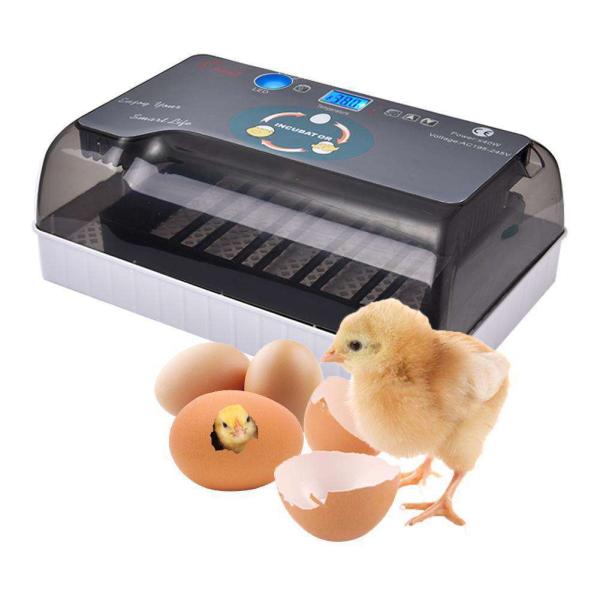 新しいファーム孵化機卵インキュベーター育雛デジタル全自動ハッチャーため鶏アヒル鳥ウズラ七面鳥卵家庭