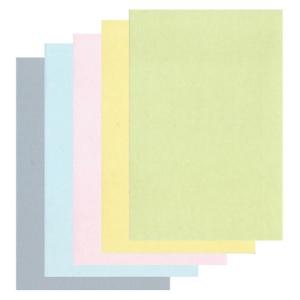 カラー画仙紙はがき　いろどり（各色）