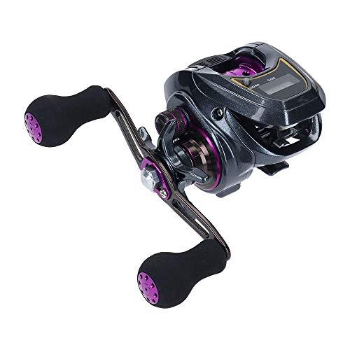 ダイワ(DAIWA) ＬＩＧＨＴ ＳＷ Ｘ ＩＣ