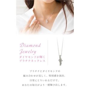 ダイヤモンド ネックレス プラチナ900 pt...の詳細画像1