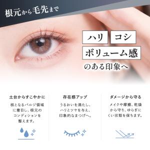 【公式】エテルナム アイラッシュセラム まつげ...の詳細画像4