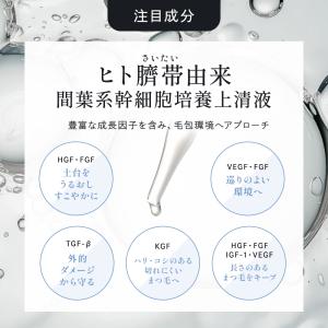 【公式】エテルナム アイラッシュセラム まつげ...の詳細画像5