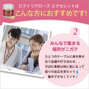理由ありアウトレット <ビクトリアローズ エク...の詳細画像5